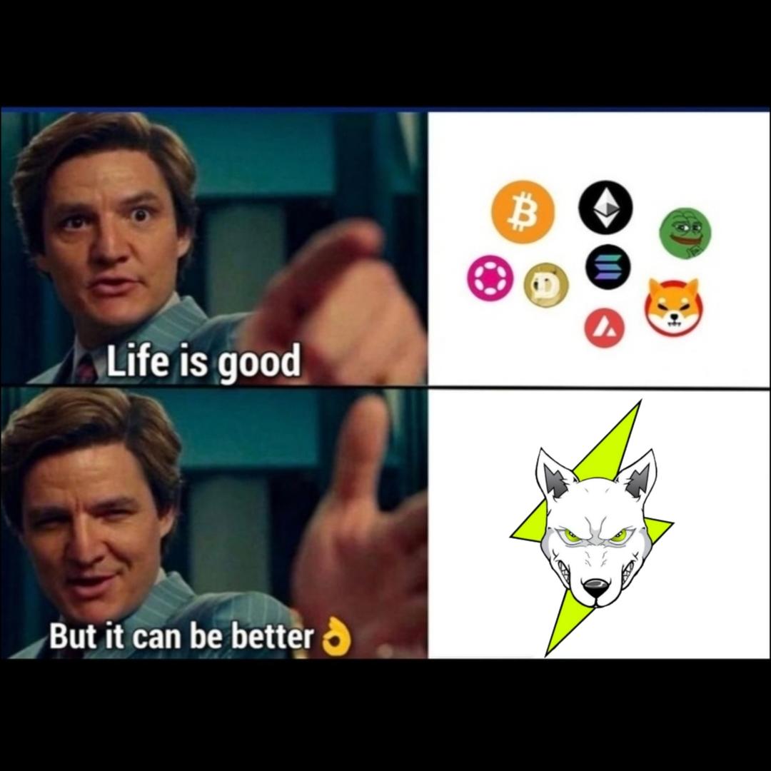 crypto420kt's tweet photo. @bigcatsreal @VoltInuOfficial #teambigcat #teamvolt https://t.co/e99yXbzvfF