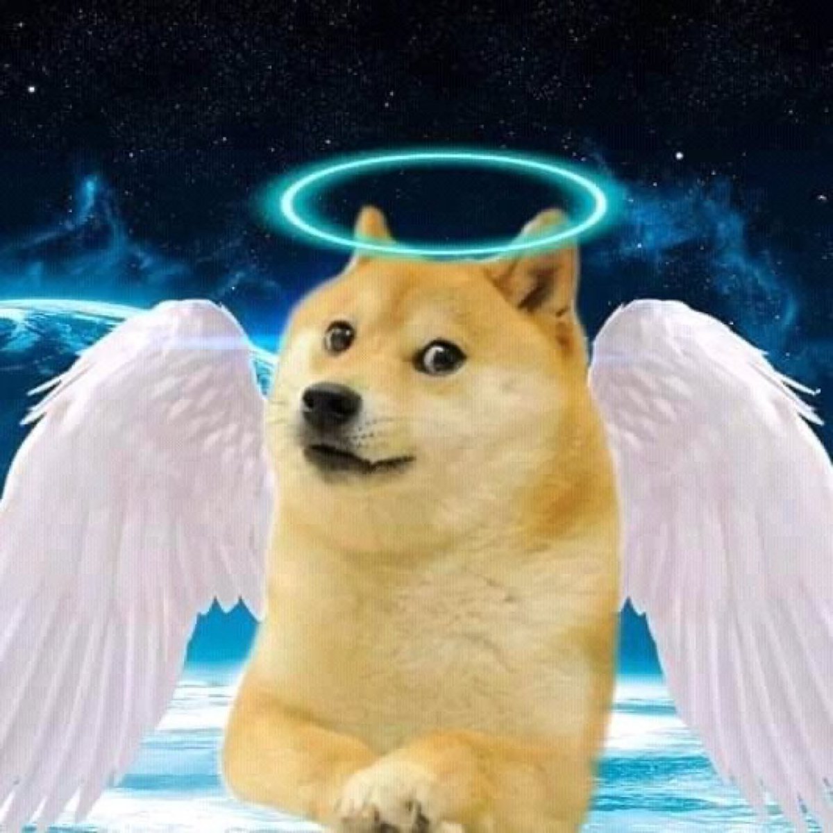 R.I.P. $Kabosu tweet media