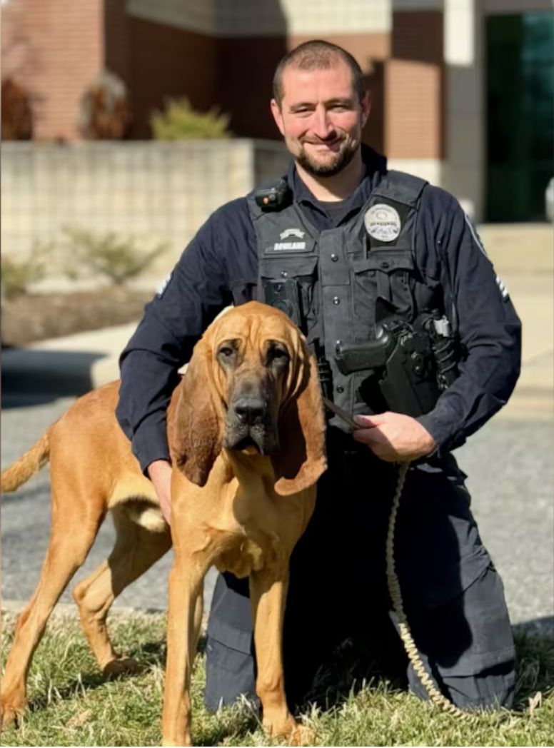 K9 Bo, of Gastonia PD, NC tracked down a 7-year-old boy who's mother tried to stab her 19-year-old child, then took the 7-year-old away with her.

Bo was given an item of the boy's and tracked them down. Thankfully, the boy was unharmed.

#K9Hero #K9Unit #K9Team #VIK9s