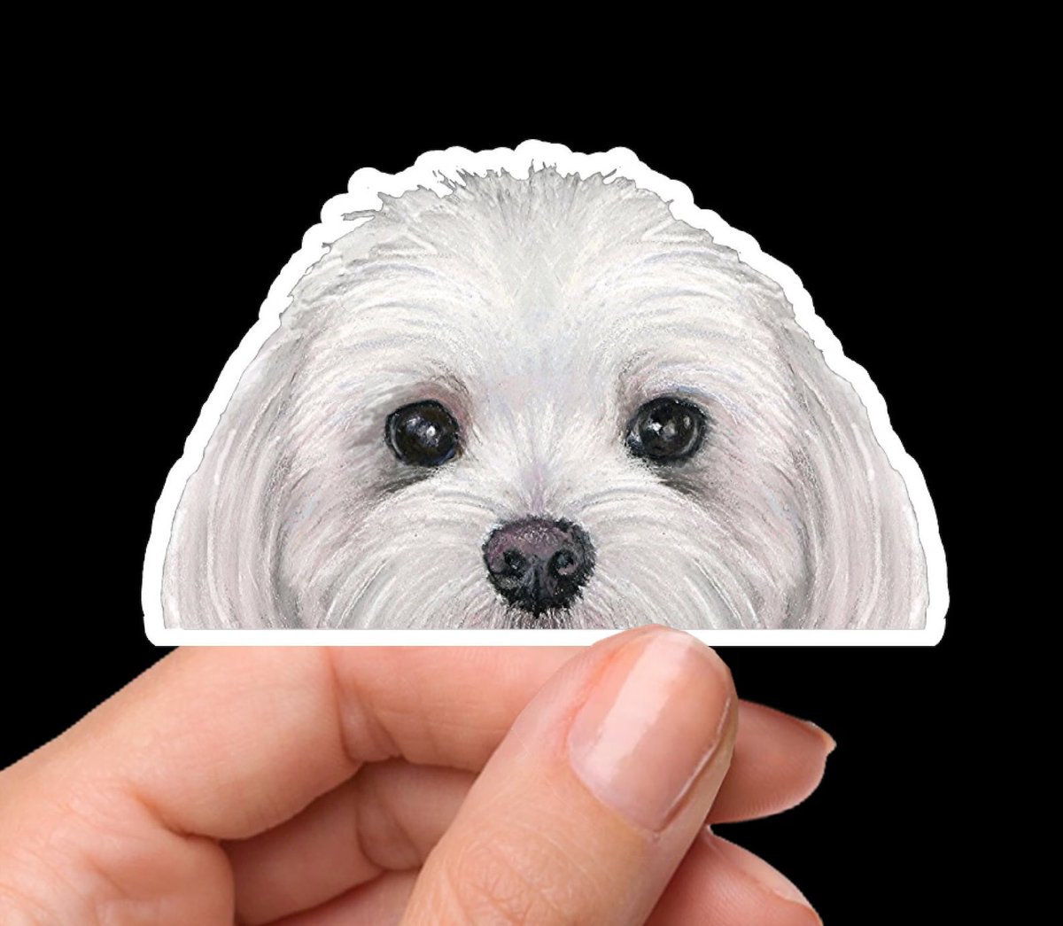 Maltese Puppy Dog Stickers artbyjulene.etsy.com/listing/144695… #maltesedog #dogsonx #dogsoftwitter