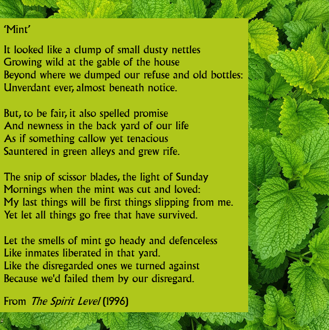 Today’s poem is ‘Mint’, from Heaney’s first collection after his Nobel Prize in Literature win. The poem shows that even something of lesser beauty like mint can still be worthy of our attention. However, he leaves us with a warning to heed those overlooked by society.