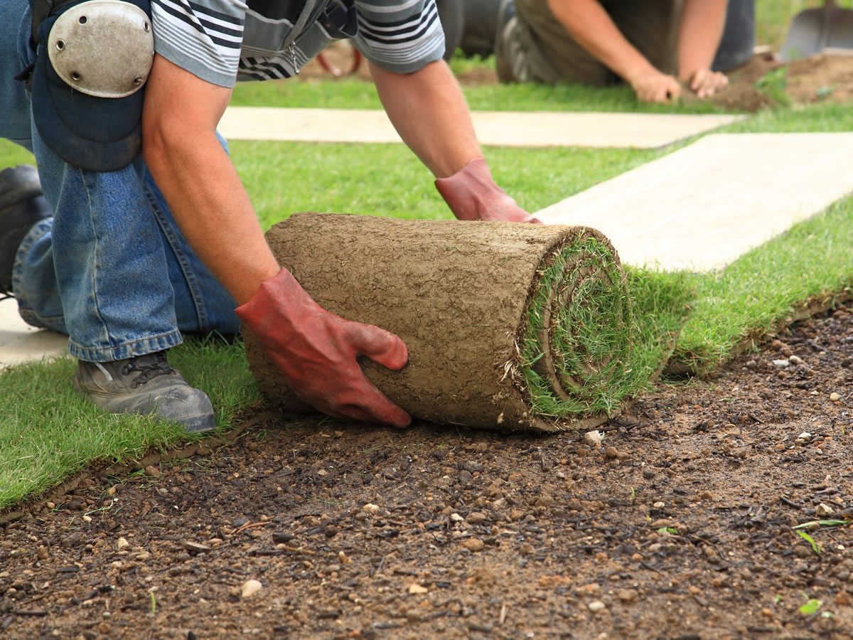 U.S. Landscaping Services Procurement Intelligence Report, 2023 - 2030 | 

Download Sample Copy@ tinyurl.com/yzuu3wjc

#LandscapingProcurement #USLandscapingServices #ProcurementIntelligence #LandscapingServicesMarket