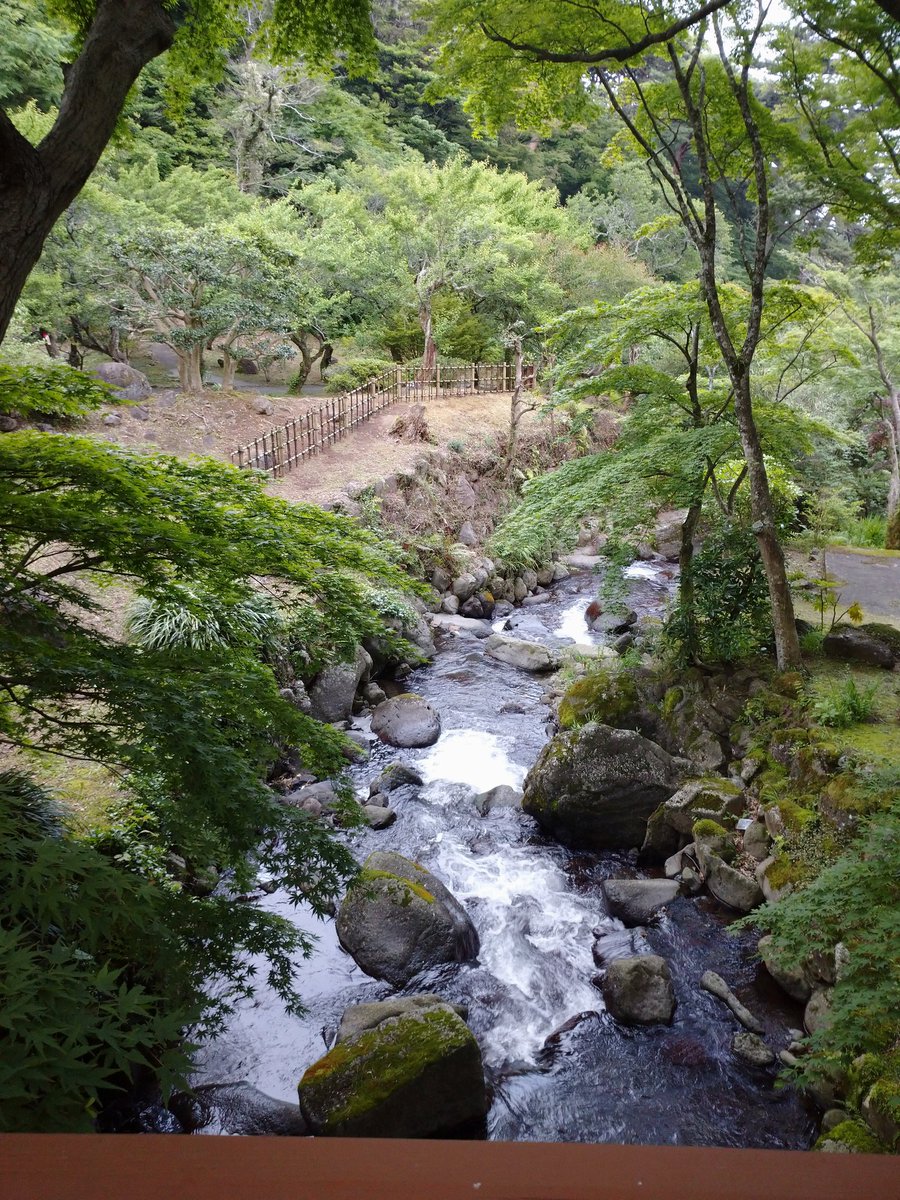 luckynutsbon's tweet photo. おさんぽ  #熱海梅園
新緑がキレイで 涼やかです🌿
#ホタル にはまだ気温が足りないのかな？
咲太郎 1才になって 小顔イケメンになりました❤️(親バカ😁)
『ほたる観賞の夕べ』は6月1日(土)から✨
#熱海 #ボストンテリア #保護犬 #ほたる #犬との生活 #散歩 #おでかけ https://t.co/sH3pA9I8gJ