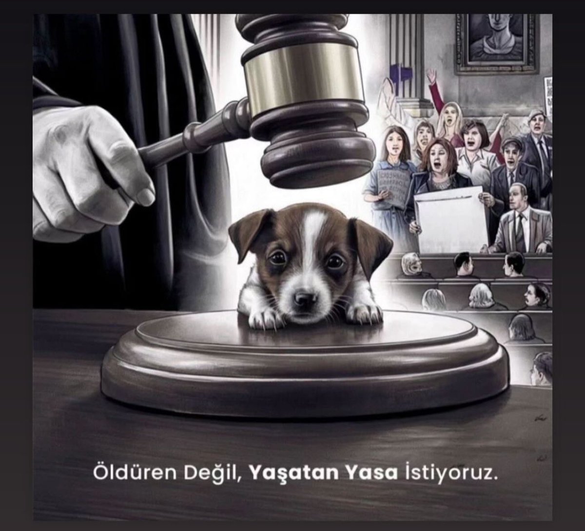 Lütfen #sokakhayvanlarınıkoruyalım lütfen onlara sahip çıkalım.