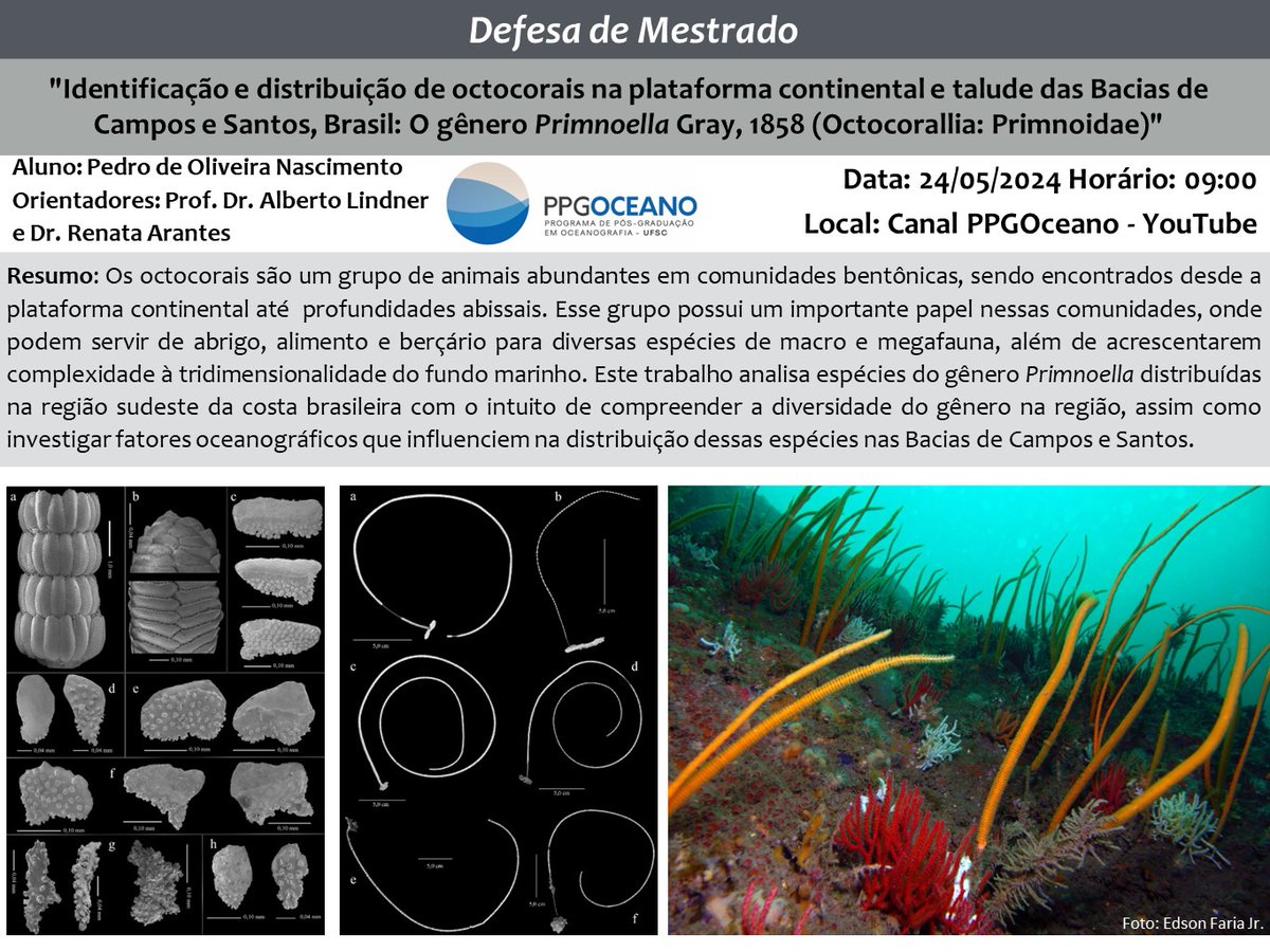 Almost there! 

youtube.com/@programadepos…