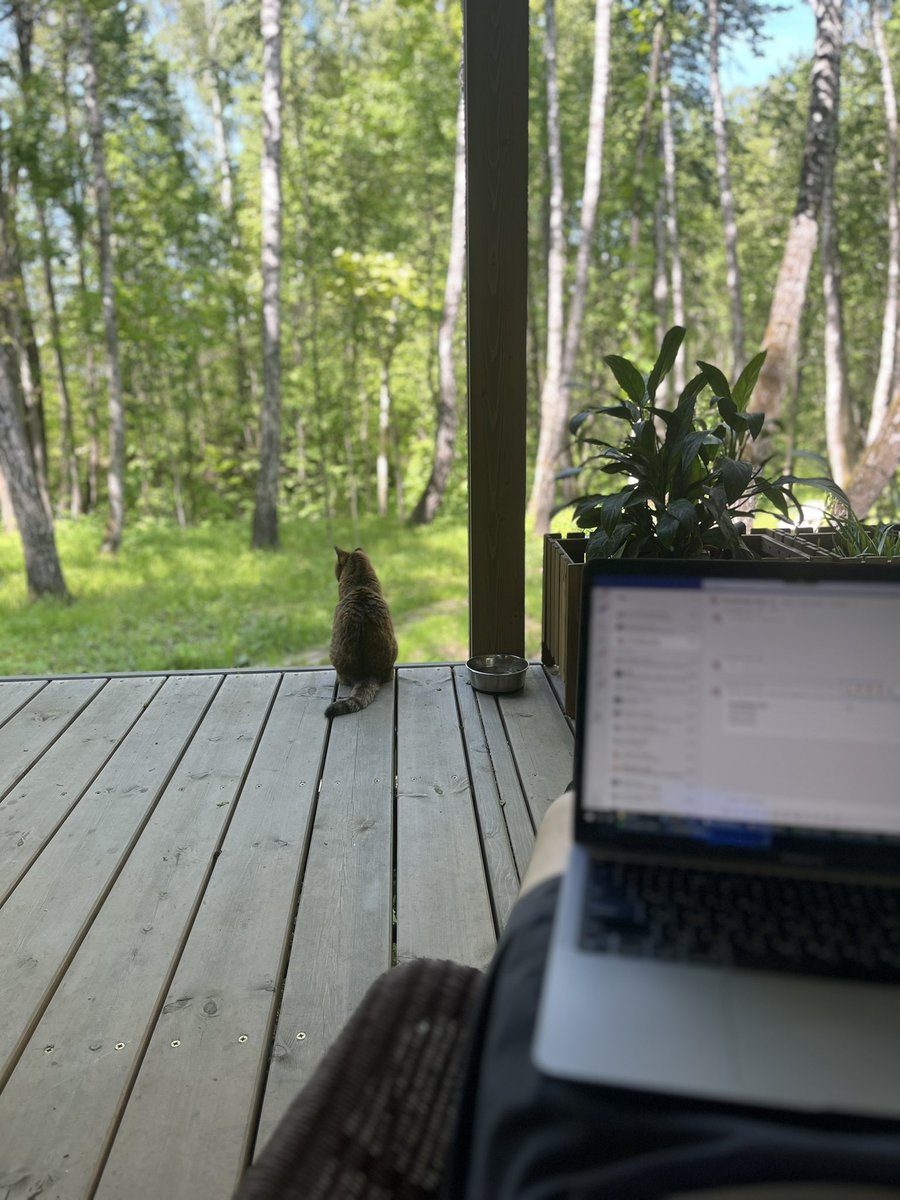 gri_han's tweet photo. киса успешно мешает мне работать https://t.co/iqVYIIBCmx