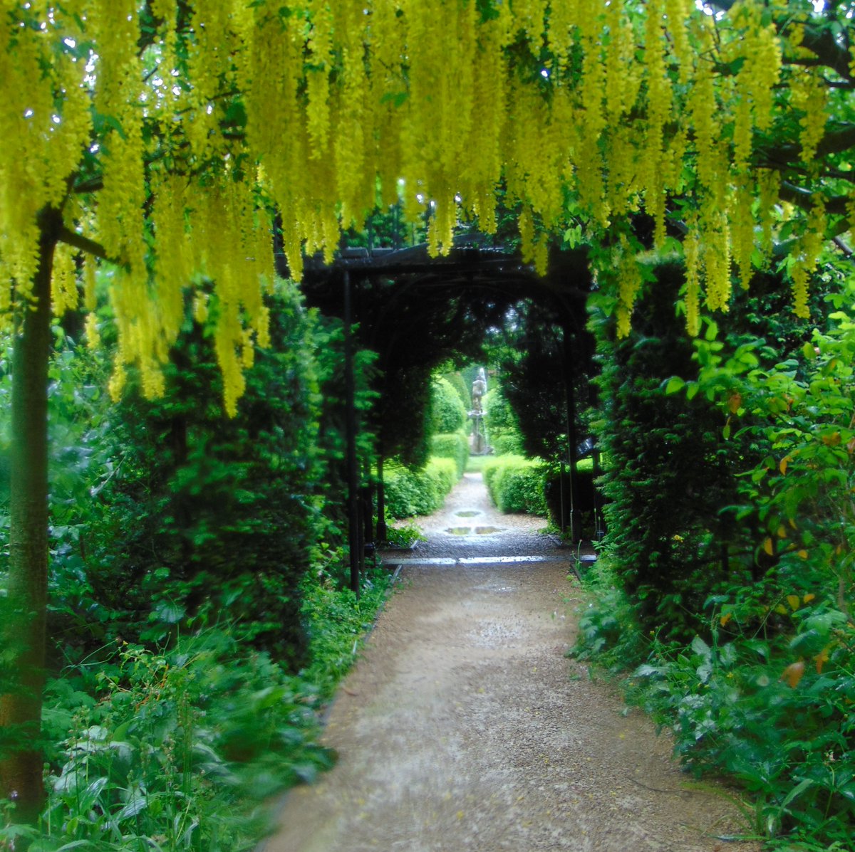 It can't decide to be sunny or cloudy. I know what I prefer. Nice to find a place almost devoid of people, though I do sometimes like to snap workers or walkers. #theferrisfiles #metaphorsaplenty #pergola #ferrisphotos #saffronwalden