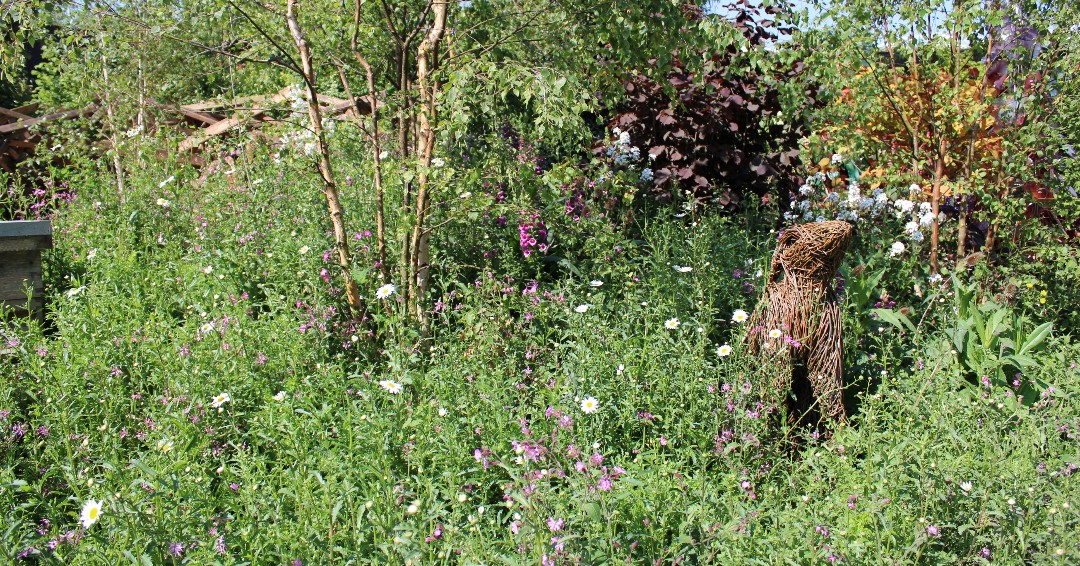 Bringing wildflowers into your garden space isn't just trendy, it's helpful to our pollinator friends, and means a boost in your fruit and veg yield! Who knew being fashionable could be so fruitful? 🌼🐝🌽 #RHSChelsea #GardeningTrends #PollinatorFriendly