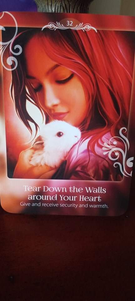 TOTD_Tear down the walls around u you need them no longer security& love now flow to u accept everything that comes to u become a vessel filled w/ abundance of and love celebrate with gratitude as u will reap everything you sow from now on love will always be a part of your heart