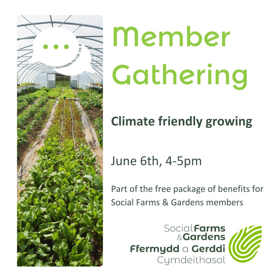 Recent studies suggest that #communitygardens produce a higher #carbonfootprint than conventional farming. What can we improve? Join us to discuss this topic at our June members' gathering.. 📅6th June, 4-5pm on zoom Sign up; farmgarden.org.uk/events/sfg-mem…