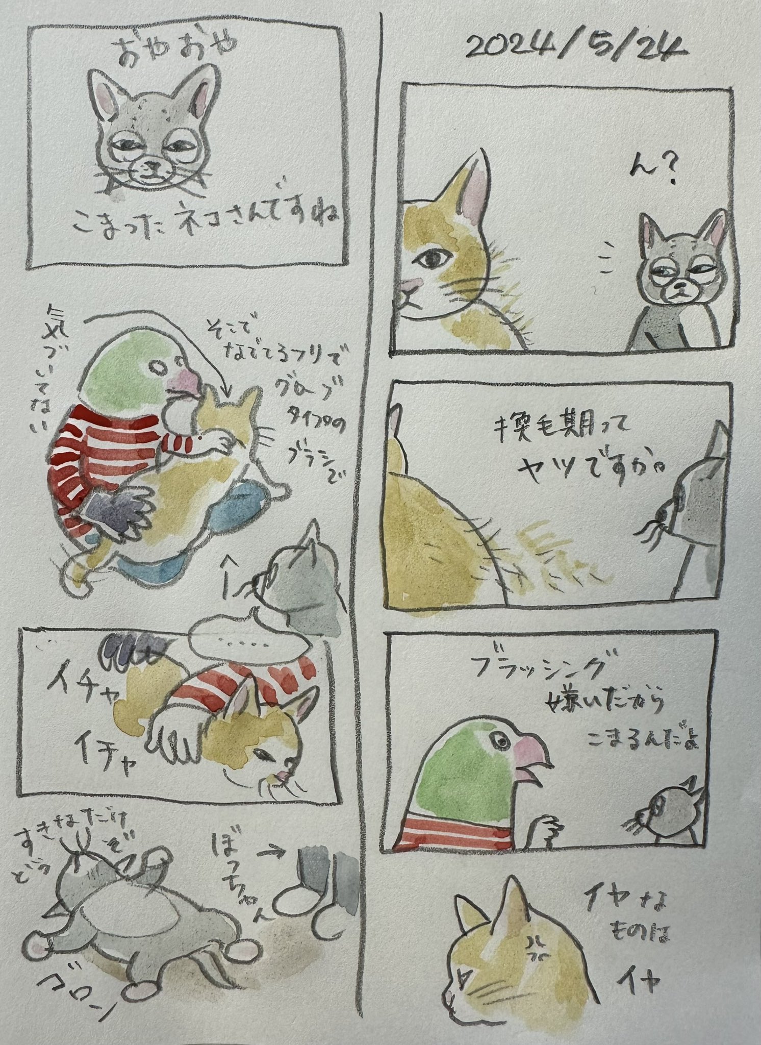Yuko higuchi ヒグチユウコ على X: 