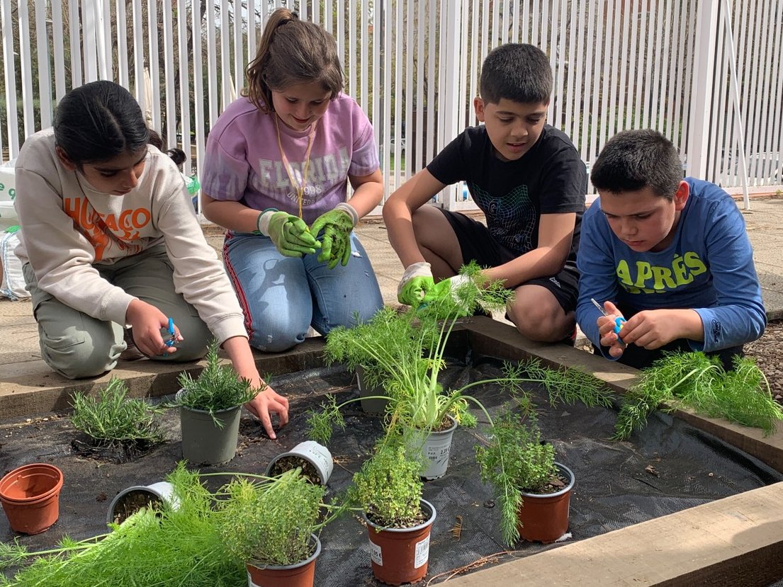 🦋I… Llavors què? Construïm jardins de papallones!  

<a href="/rubioiorsreus/">Escola Rubió i Ors</a> i <a href="/maite_novo/">maite novo</a> <a href="/cienciaURV/">ComCiència URV</a> s'han preguntat què fer per millorar les zones verdes i la biodiversitat de Reus. En Martín, l'Eric, en Julio i l'Irene ho han explicat a #NitRecerCAT

▶️VÍDEO youtu.be/VtFSel1T8G4