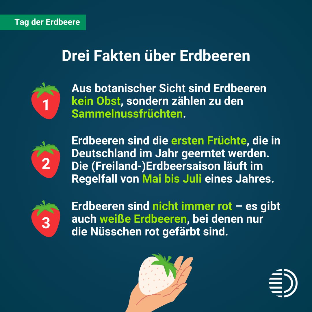 🌱 Heute ist Tag der #Erdbeere! 🍓 Diese süße Sammelnussfrucht ist nicht nur lecker, sondern auch ein echtes Superfood. #Erdbeeren sind vollgepackt mit Vitaminen und Nährstoffen und punkten vor allem durch ihren hohen Vitamin-C-Gehalt. Wusstet ihr, dass 100 g Erdbeeren mehr