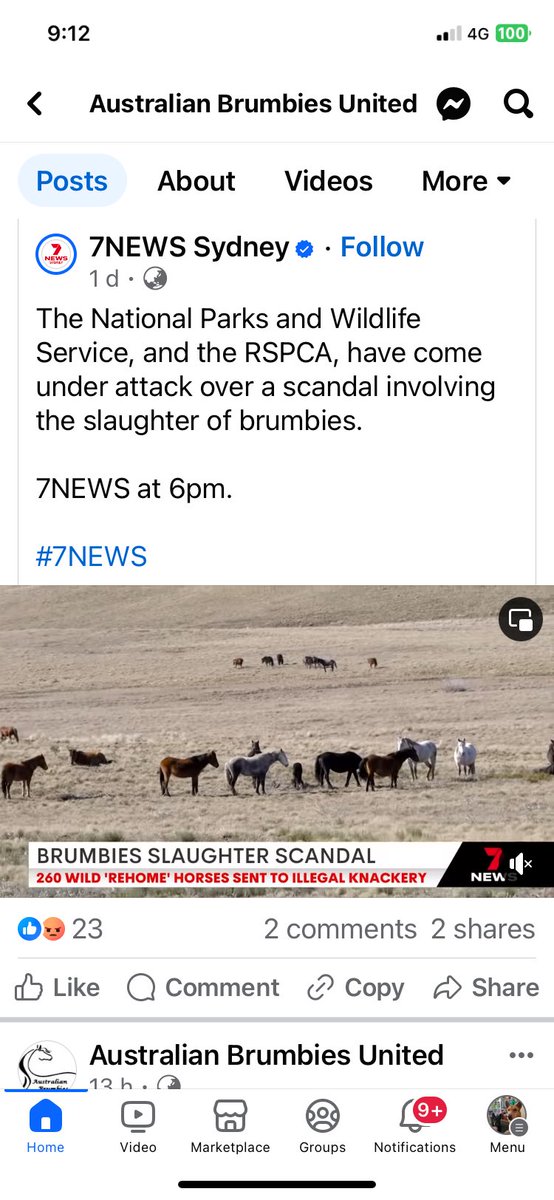 SaveOurBrumbies tweet media