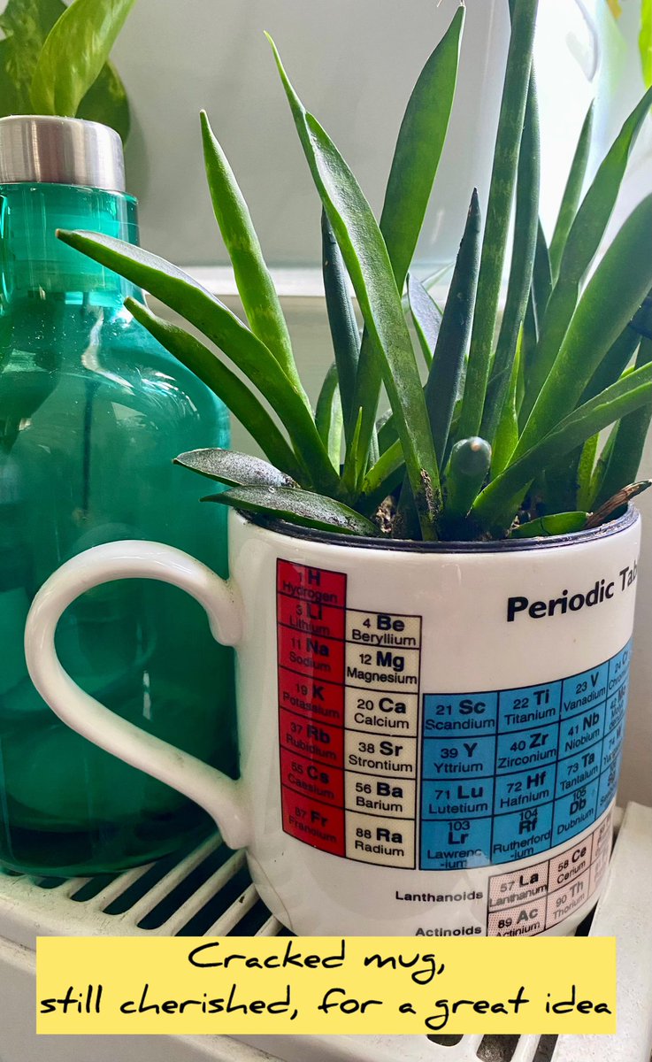 A poster or a mug design of the #PeriodicTable, is a must-have, usually an interesting conversational subject too