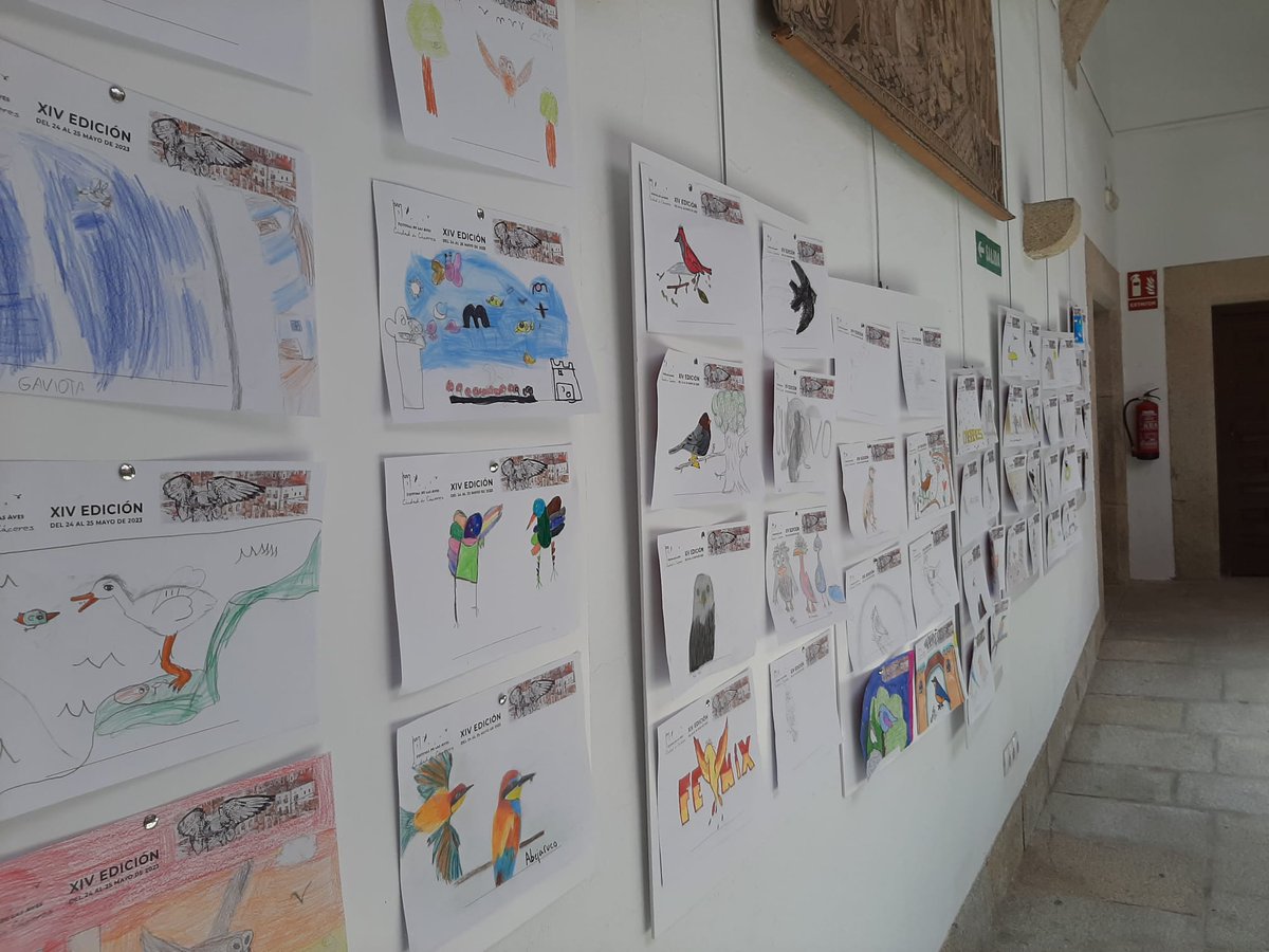 🎨 Concurso de dibujo infantil del Festival de las Aves de Cáceres Los dibujos están expuestos en el Palacio de Carvajal. Mañana, a las 13:30 horas, se entregarán los premios en la Filmoteca de #Extremadura. También los del maratón fotográfico 📷