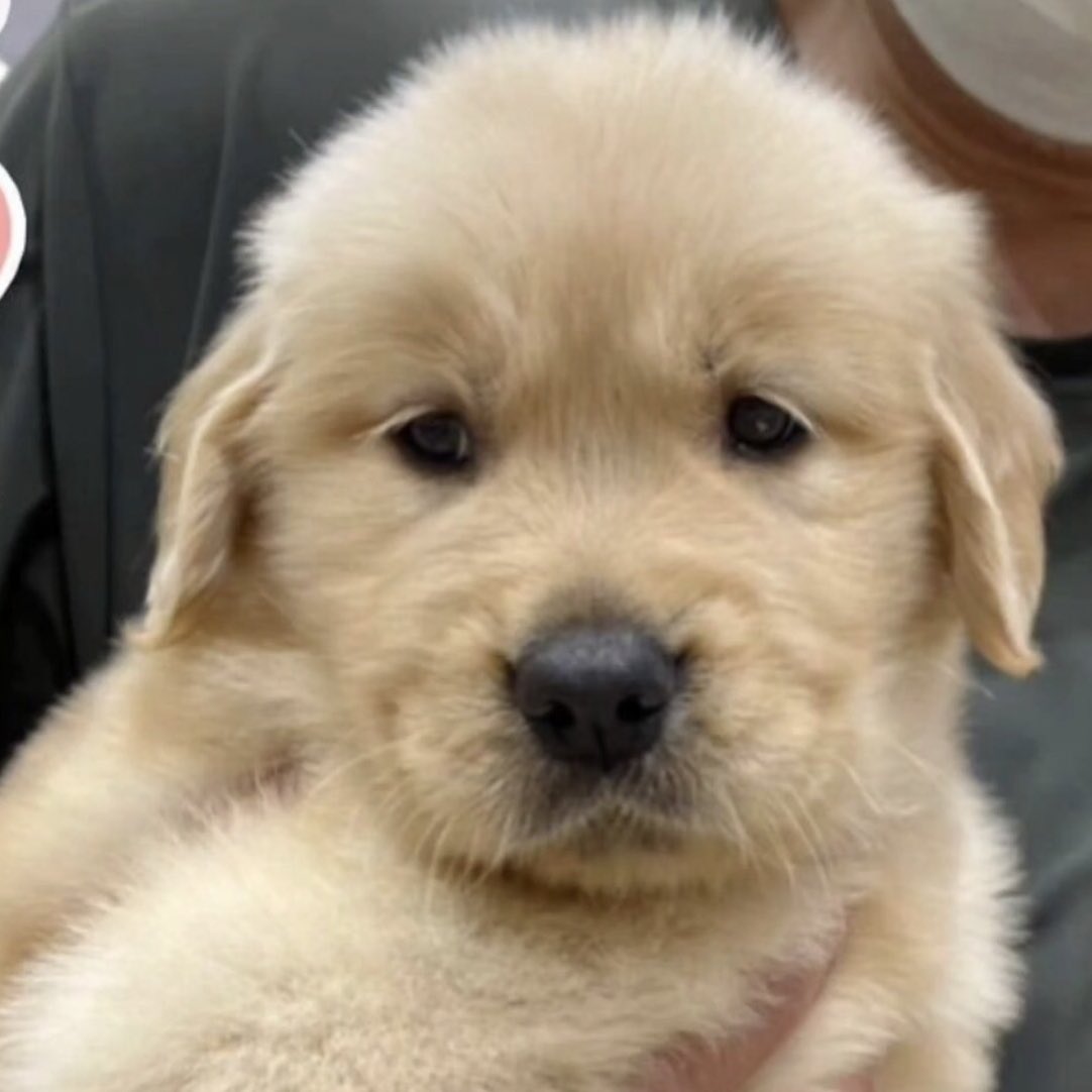 แค่มอมแมมก้ไม่รักแล่วเหรอ                    (แค่😅?)