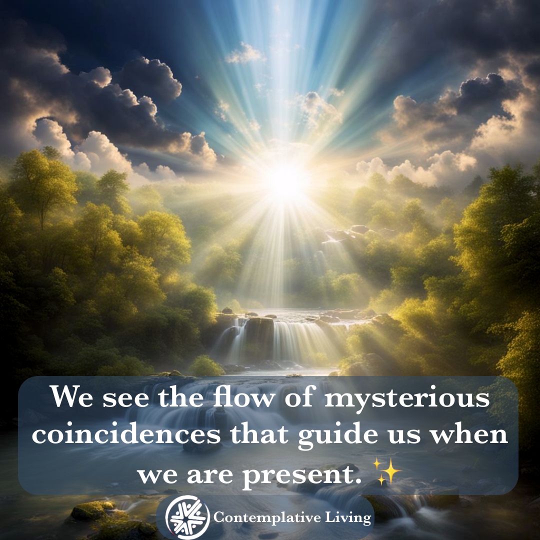 DharmaTalks's tweet photo. We see the flow of mysterious coincidences that guide us when we are present. ✨ #synchronism #empowerment #contemplation #contemplativeliving https://t.co/ubFUGACH9f