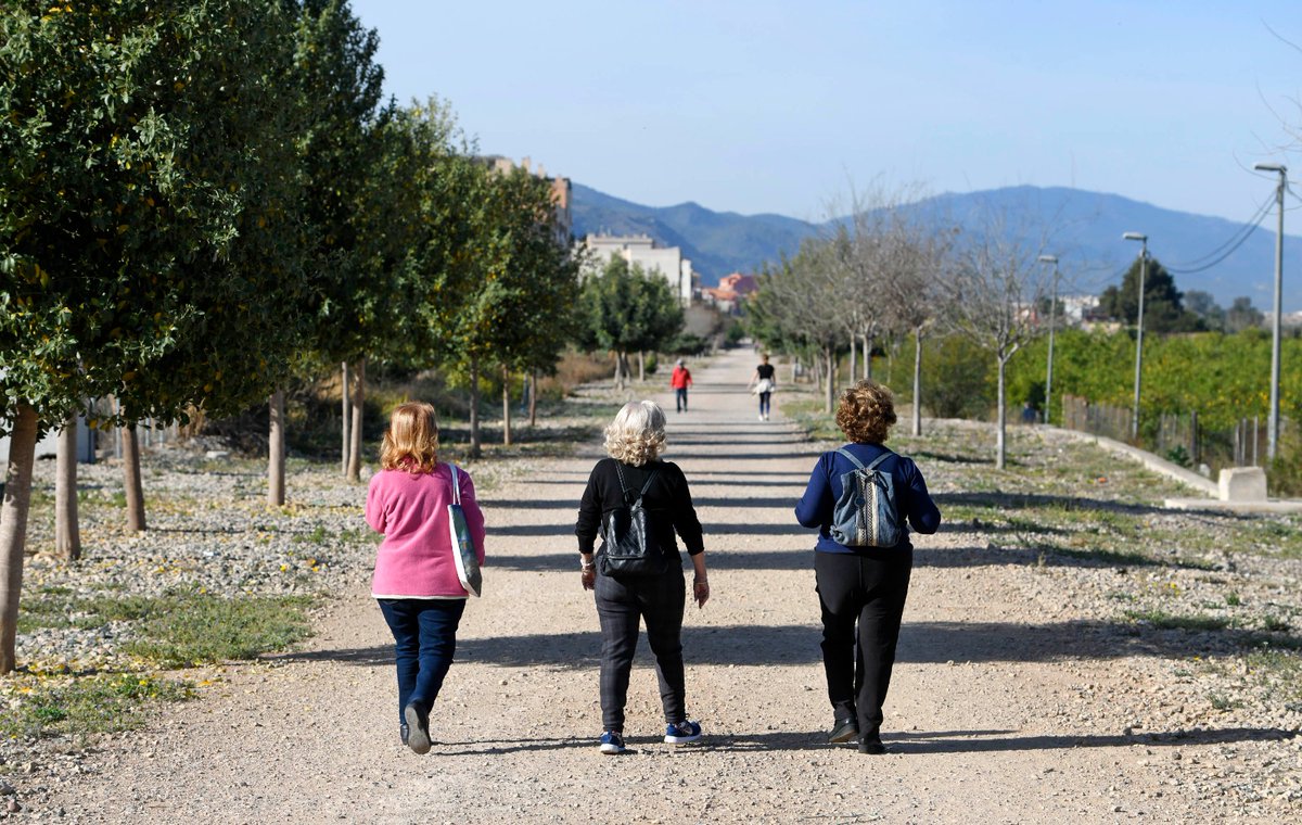 La Junta de Gobierno da el paso definitivo para que la Vía Verde se amplíe hasta Los Dolores, Alquerías y Zeneta. centromedios.murcia.es/PUBLICO/NotaPr…