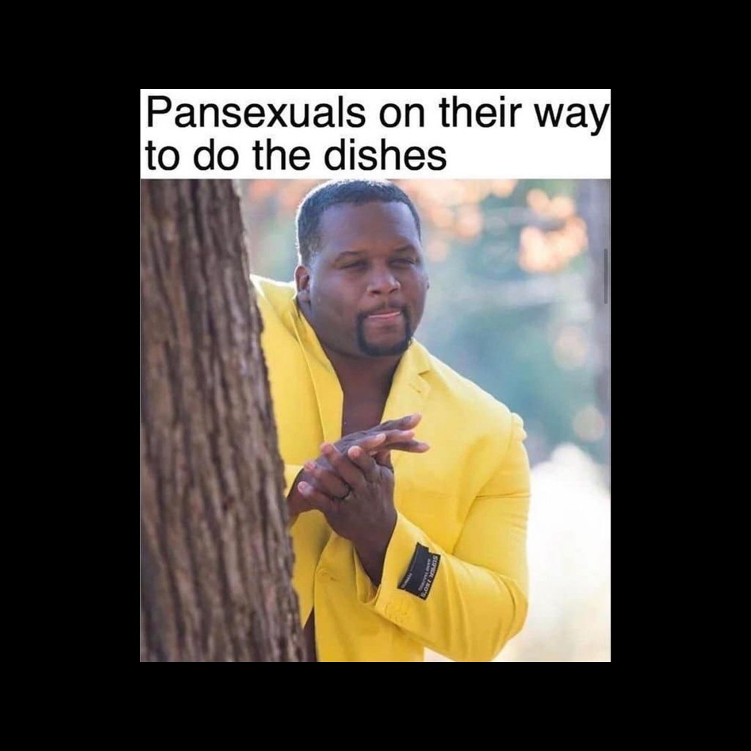 Happy #Pansexual & #Panromantic Visibility Day✨ (and PS, we don't like dishes --- you can do them for us! 🤣).⁠
⁠
#lexisylver #lexual #getlexual #RelationshipCoach #IntimacyCoach #LoveAndIntimacy #HealthyRelationships⁠
#EmotionalIntimacy #RelationshipAdvice #IntimacyMatters⁠