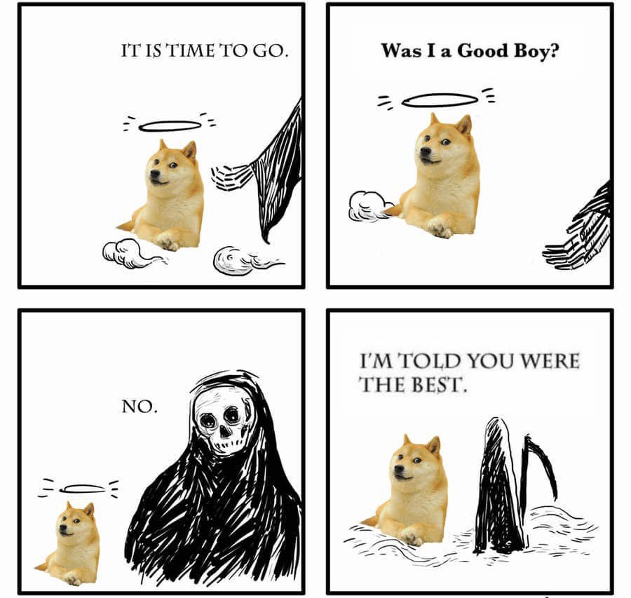 team_cheems's tweet photo. #RIPDoge 🙏 https://t.co/IezMcY2hKh