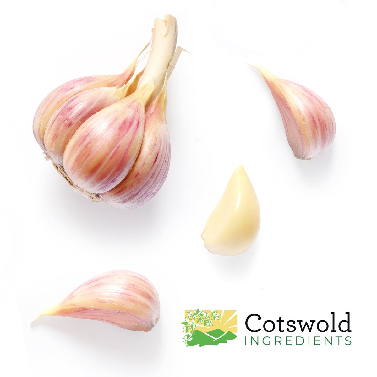 🧄 GARLIC UPDATE 🧄

Due to all the ups and downs in the garlic market, consider some short-term coverage until the new crop arrives to ensure you don't run low on your garlic supply! 🛒

📞 Call Now: +44(0)1453 843694 
📧 Email Us: sales@cotswoldingredients.co.uk