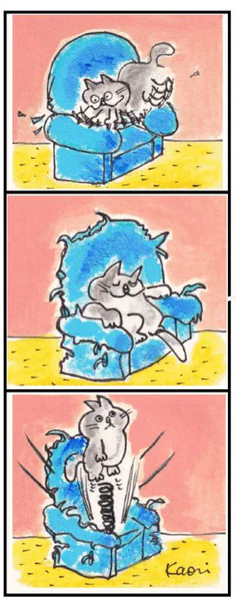#ねこ漫画 #猫
ねこあるある🛋️ 