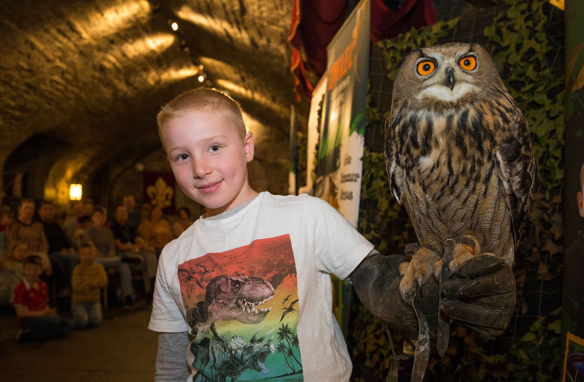 Are you ready for a really wild adventure? Visit @cardiff_castle this half-term for an exciting, hands-on encounter with some exotic members of the animal kingdom. Tickets cost £7.50 per person (babies under 12 months free) and are on sale now. orlo.uk/4U2Ex