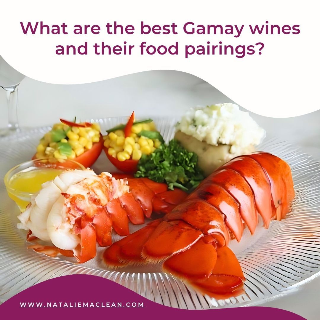 🍇 What are the best Gamay wines and their food pairings❓ nataliemaclean.com/blog/videos/th… 🥂 Have you tried a Gamay wine❓ @PellerVQA @apimportagency @ONCraftWineries @winecountryont @grapegrowersont @triuswines @wineriesofNOTL @perigonbeverage