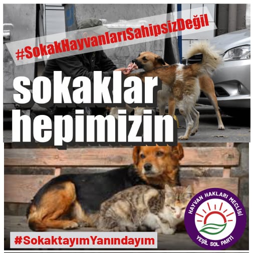 Yeryüzü ve sokaklar hepimizin, Hayvanların doğal yaşam alanlarını yok edip, doğayı ve insanı sömürü aracı olarak görenler şimdi de sokaklarda yaşayan hayvanların canına göz diktiler. Sokakta yaşayan hayvanları katletmeye yeltenenlere karşı bir kez daha sesleniyoruz. Bu