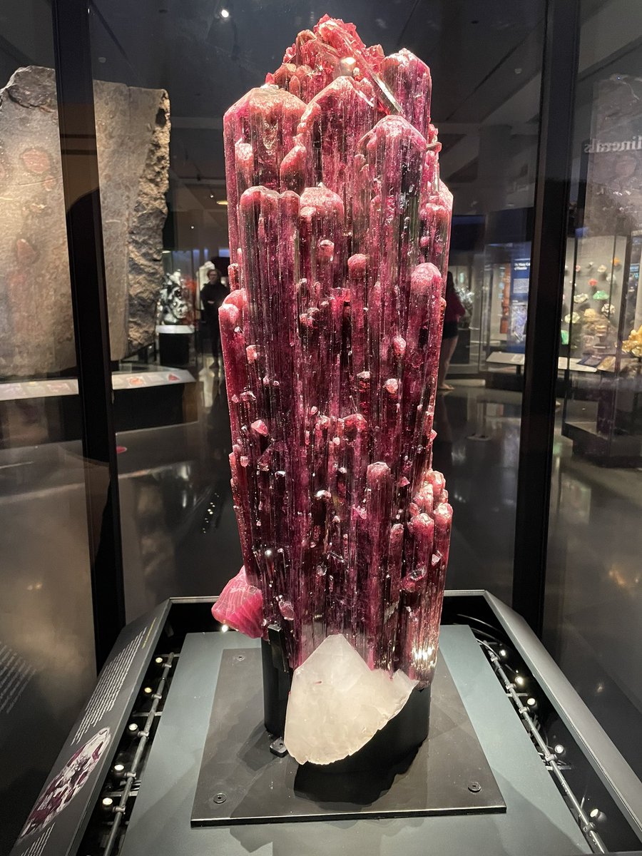 Saw this giant tourmaline in NYC last week and all I can think is why don’t I have a rockhound/mineral collector client who wants to take me to gem shows and buy me sexy shiny earth treasures 🤷🏻‍♀️ fellow crystal nerds, come fill that niche for me ✨