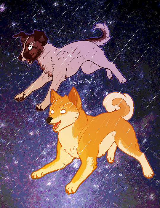 actually made a joke the other day about how doge/kabosu is as important as laika to humanity. it's true tbh. live well much love such star