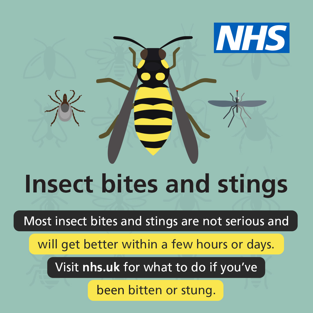 Warmer weather is enjoyable for many, but it can also mean an increased risk of getting insect bites and stings. See our advice on what to do if you've been bitten or stung, and when to get medical advice. ➡️ nhs.uk/conditions/ins…