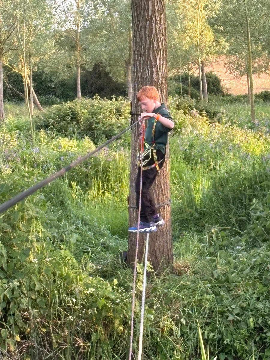 LewisLittleLegs tweet media