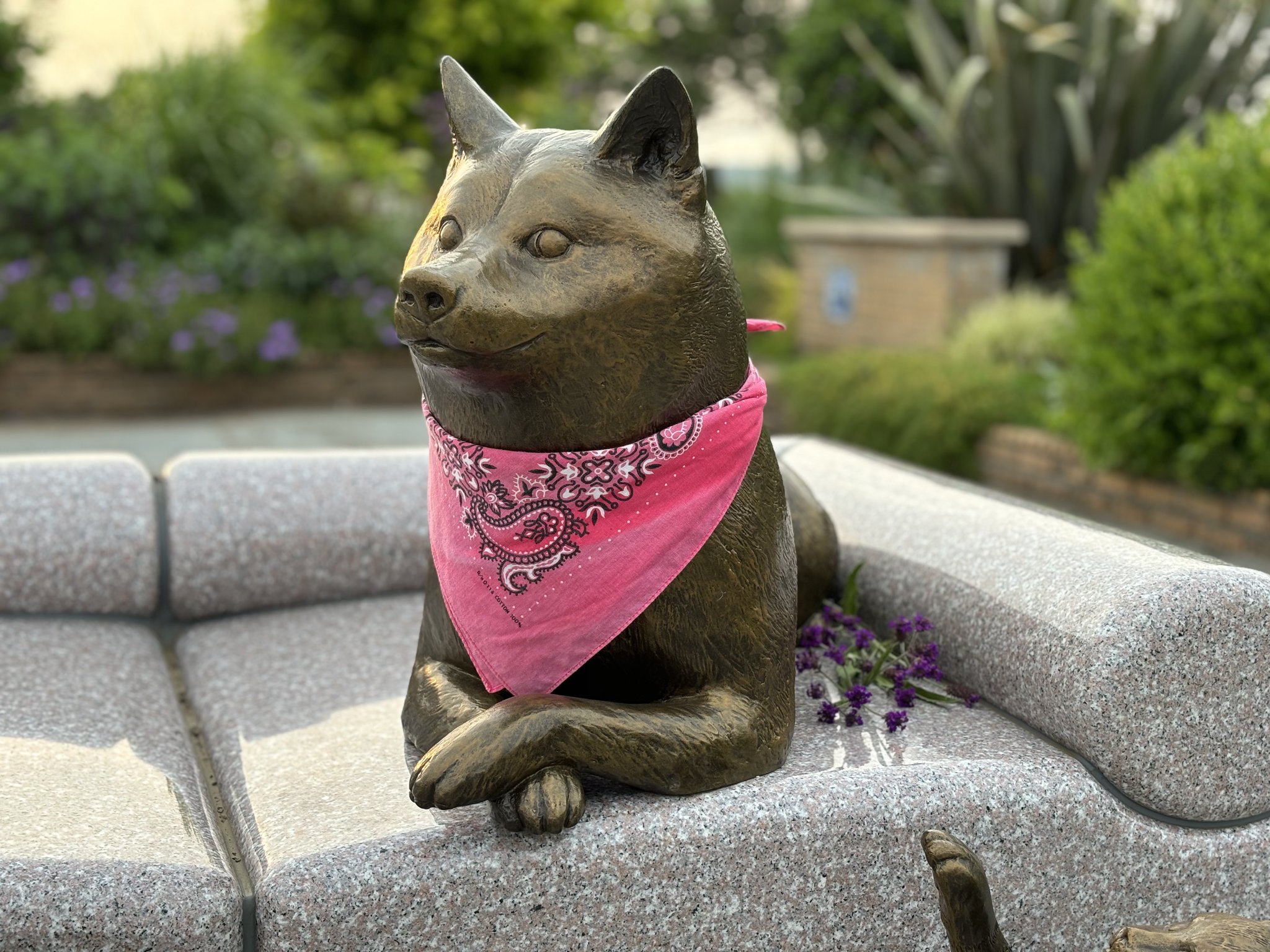 GOV8RrXa4AE4aqR.jpg:large