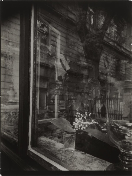 From the window of my studio, Photo: Josef Sudek, Prague, Czech Republic, 1965.