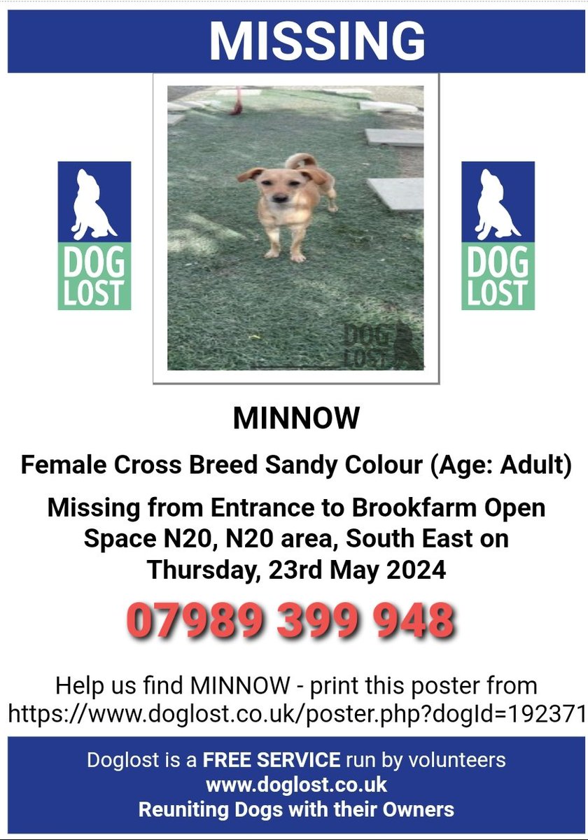 🐕Has anyone seen #missing MINNOW? She was last seen entrance to Brookfarm Open Space #barnet #N20 around 8pm 23 May 2024 Minnow is mid calf height She looks like a puppy but is over 2 years old & has a scar down her tummy. Please contact if found or seen. doglost.co.uk/dog-blog.php?d…