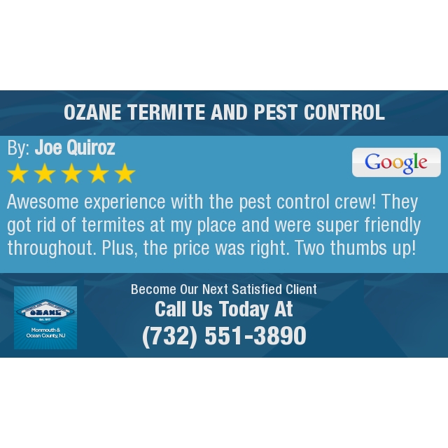 5 Star: Joe Q. "Awesome experience with the pest control crew! They got rid of termites at my place..."