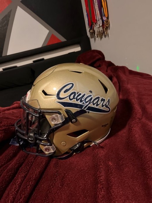 AZHelmetChallenge tweet media