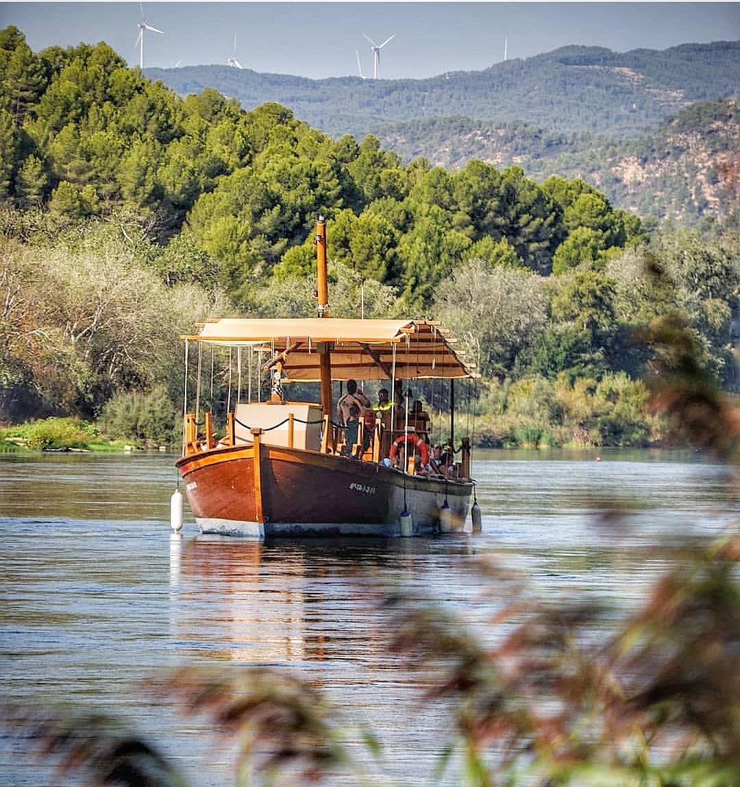 AscoTurisme's tweet photo. ⛵ Encara no tens plans per al #capdesetmana? Què et semblaria #navegar per l'#Ebre a bord de #LoRoget?

Et proposem 2️⃣ sortides diferents:
🌿 Passeig i tast de productes locals
🔎 Descoberta de la natura amb els guies de @gnfreixe 

Quina tries? 👇
ℹ️🎟️ https://t.co/dcbdWBZMKI https://t.co/Hrf2S7IDiH