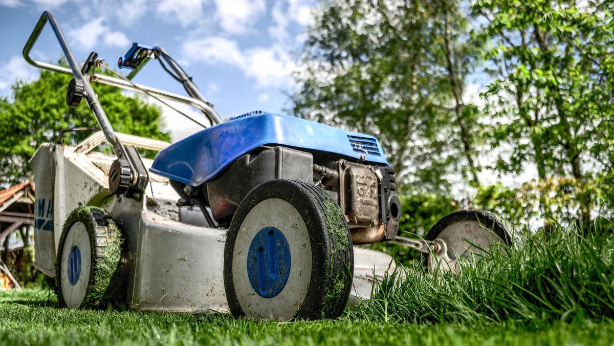 😎 Another long bank holiday weekend is on the horizon! If you’re planning to get in the garden, don’t forget that your green bin must now display the licence for 2024-25 if you would like to use the fortnightly garden waste service. Sign up online 👉🏻 cotswold.gov.uk/gardenwaste