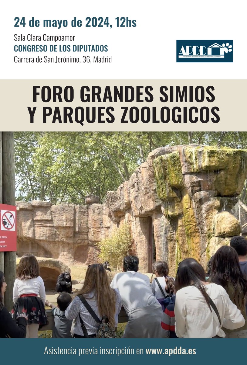🙌 ¡Es hoy! Si no puedes asistir personalmente al Foro 'Grandes Simios y Parques Zoológicos' puedes seguirlo por streaming en este enlace: app.congreso.es/AudiovisualCon… Nos vemos en un ratito 🐵
