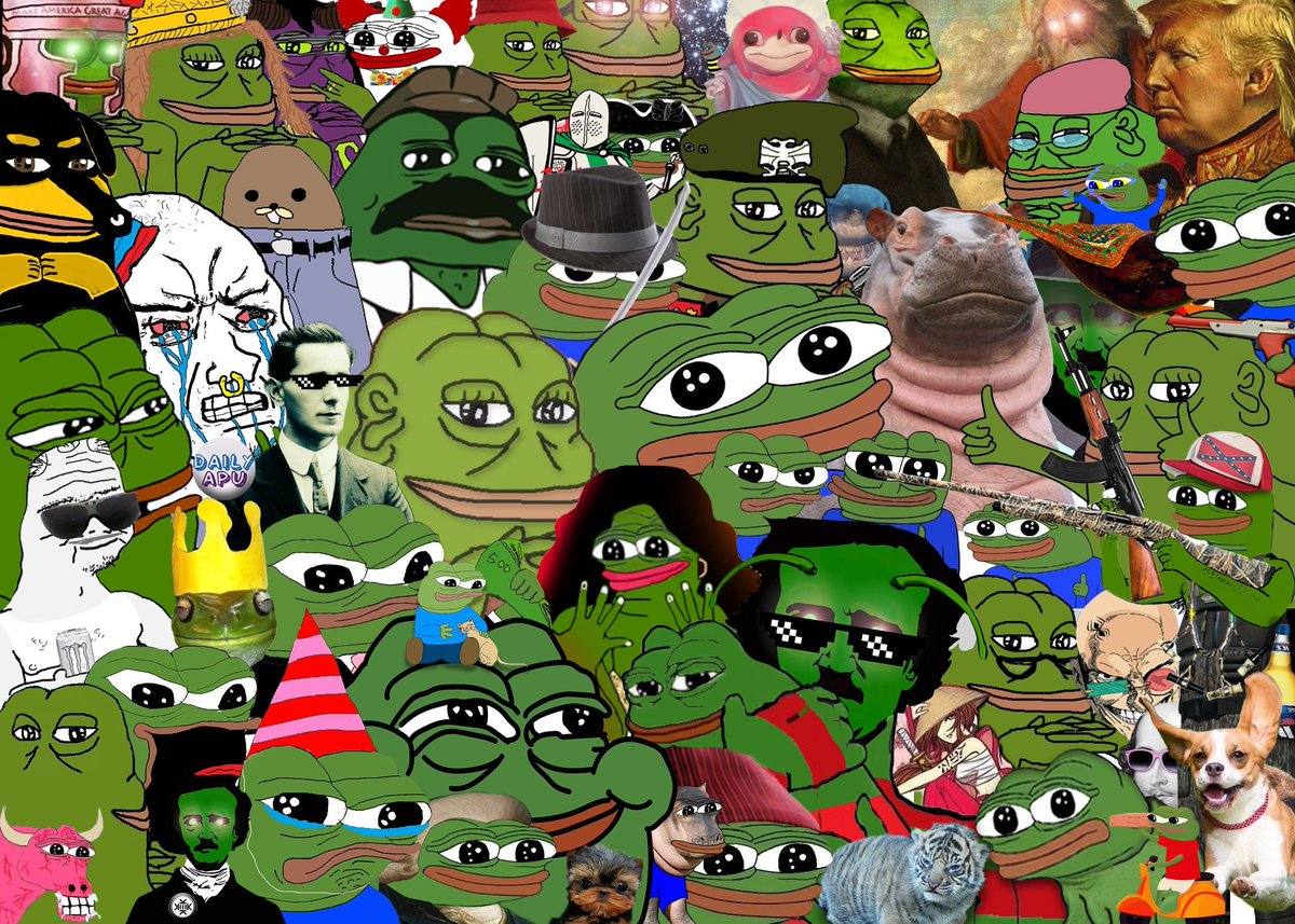 Groyper tweet media