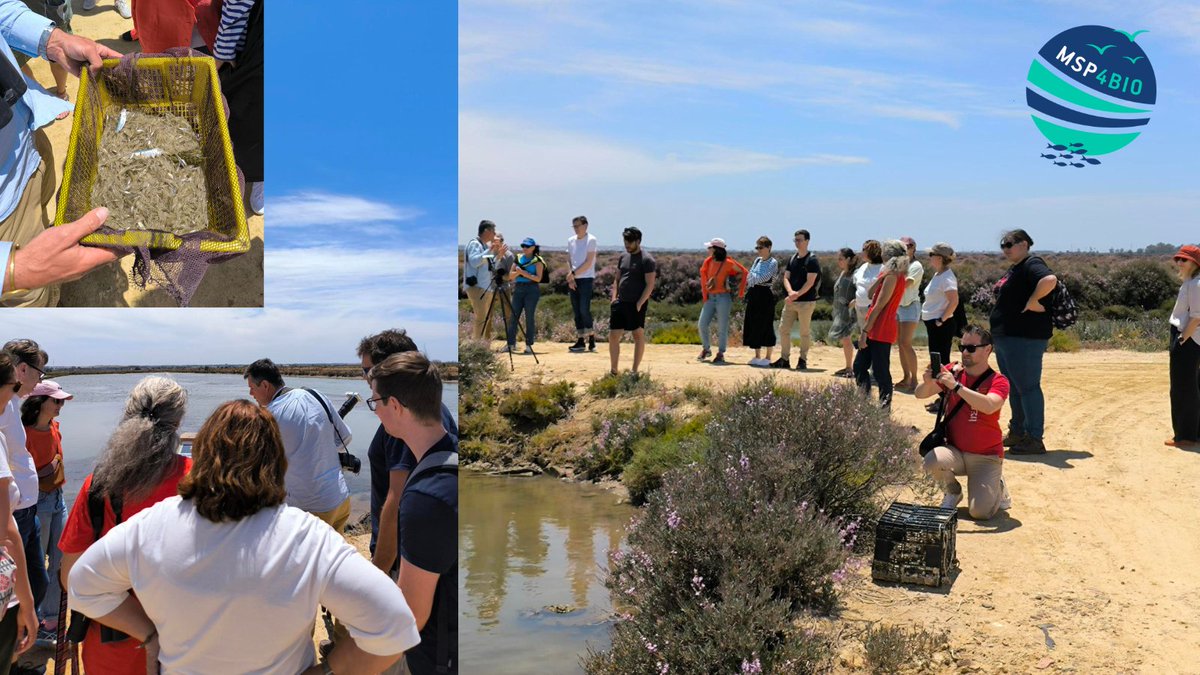 MSP4BIO_Project tweet media