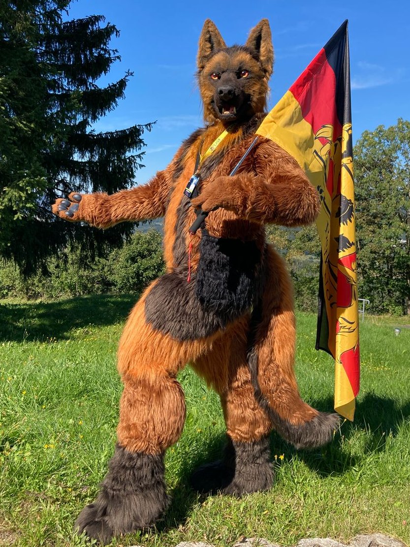Happy #FursuitFriday in my <a href="/berrexter/">Berrexter 🇩🇪🇳🇱 🔜 Ulm FD 🇩🇪</a> suit

✂️ <a href="/IrruanWorkshop/">Irruan Workshop</a>
📸 #Huscai
🗓 16.09.2023
🏨 #Ringberg #Hotel
🏙 #Suhl 🇩🇪
🦊 #EAST 11
🎩 <a href="/sachsenfurs/">Sachsen Furs e.V.</a>

#EAST11 #EAST2023 #Fursuit #Furry #Shepherd #Sachsen #Furs #Flag #Berk #BerkWolf

Follow my Berk-News (TG):
t.me/Berk_News