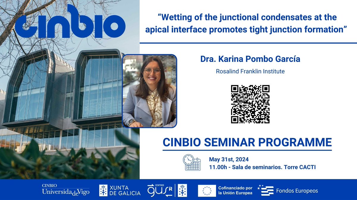 📅 31st May ⏰11:00 h 📌 Sala de seminarios, Torre CACTI CINBIO Seminar Programme with Dra. @karina_pombo, from Rosalind Franklin Institute (@RosFrankInst): 'Wetting of the junctional condensates at the apical interface promotes tight junction formation'. #SomosCIGUS