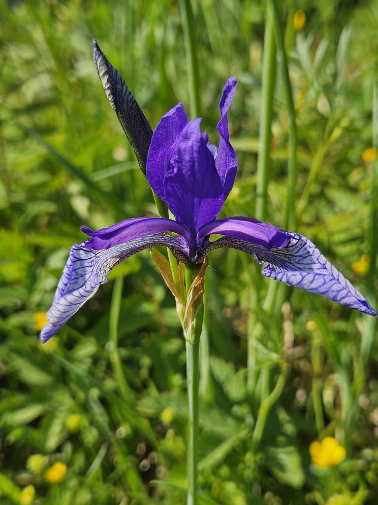 Plant Ecology UT tweet media