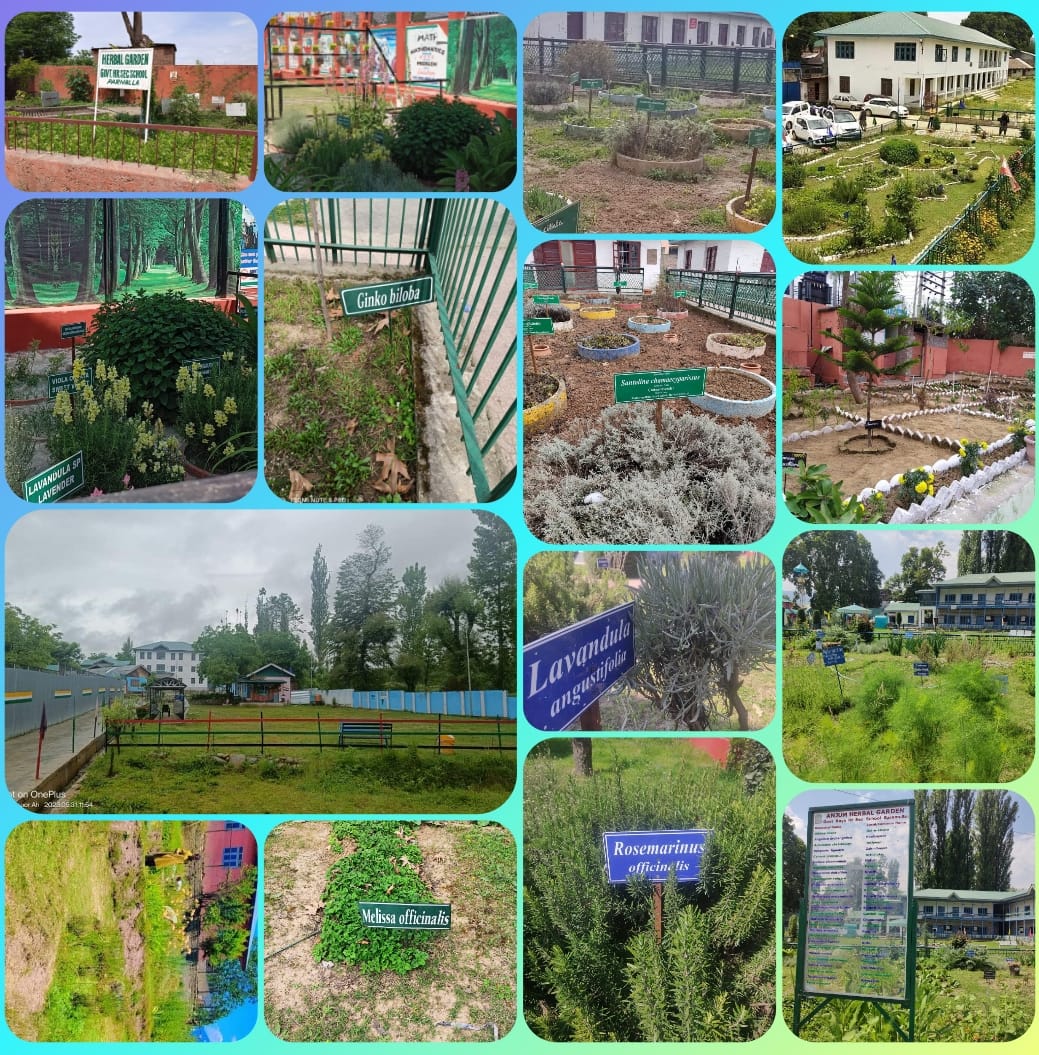 Herbal gardens at 10+2 levels enhance science education and add scenic beauty to higher secondary schools, making learning both practical and visually inspiring. 
@OfficeOfLGJandK 
@diprjk 
@SchoolEdujkut