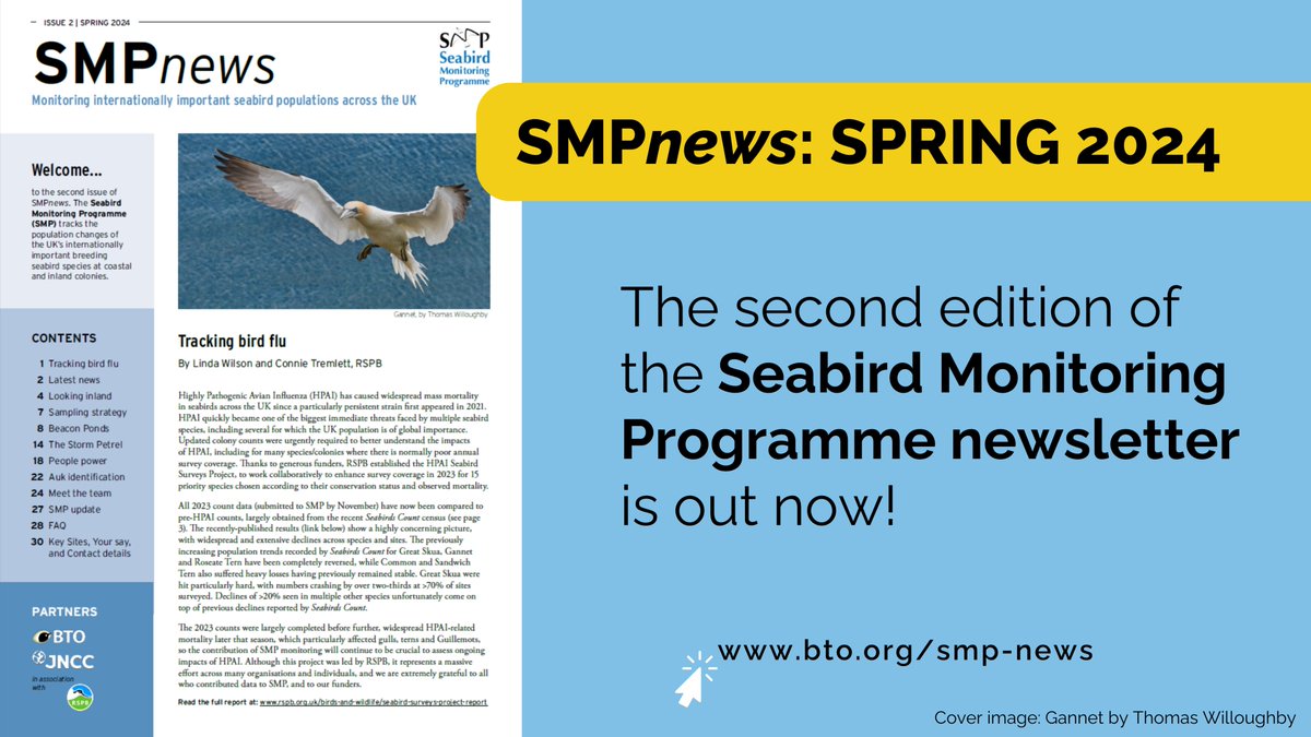 1/3. The second issue of #SMPnews is out now: the annual Seabird Monitoring Programme newsletter, packed full of all things #seabirds! Enjoy a read at bto.org/smp-news @_BTO @JNCC_UK @RSPBScience