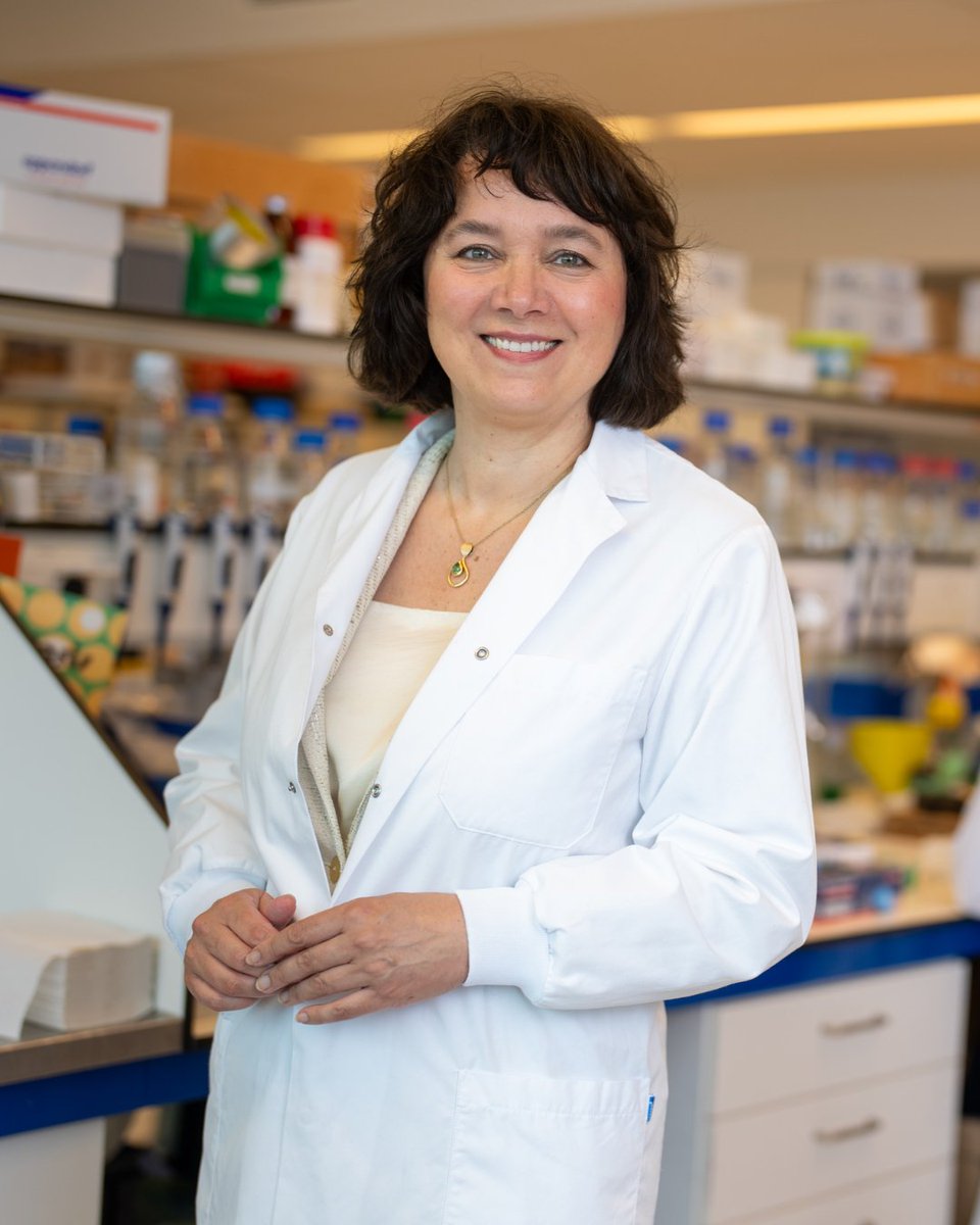 UMC Utrecht International (@umcu_intl) on Twitter photo The DRIVE-RM consortium receives ā¬37.5 million within the prestigious SUMMIT program from <a href="/NWONieuws/">NWO Nieuws</a>. Professor of Experimental Nephrology Marianne Verhaar leads the collaboration that focuses on #RegenerativeMedicine with smart materialsā¤µļø umcutrecht.nl/en/over-ons/ni⦠The DRIVE-RM consortium receives ā¬37.5 million within the prestigious SUMMIT program from <a href="/NWONieuws/">NWO Nieuws</a>. Professor of Experimental Nephrology Marianne Verhaar leads the collaboration that focuses on #RegenerativeMedicine with smart materialsā¤µļø umcutrecht.nl/en/over-ons/niā¦